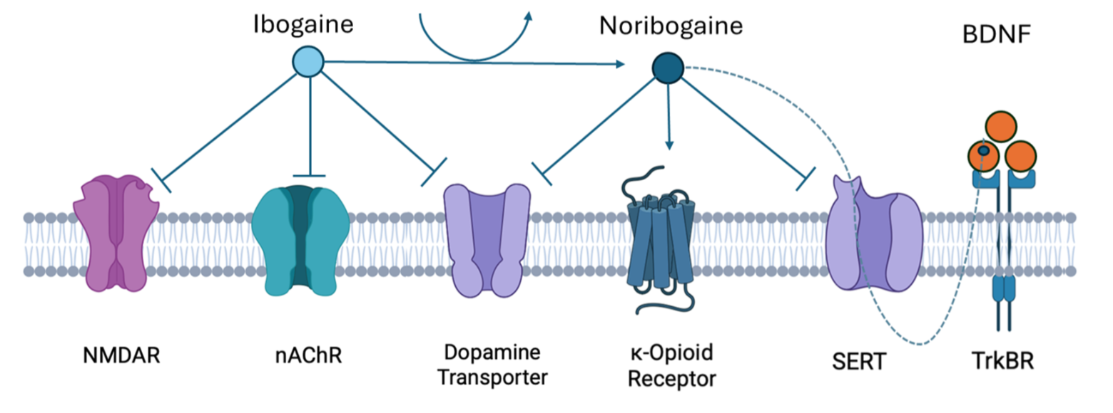 ibogaine